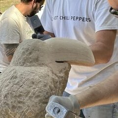 Der Schnabel des Tukan tritt immer mehr hervor&period;