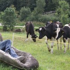 Kleine Ruhepause zwischendurch mit Besuch der derzeitigen Nachbarn