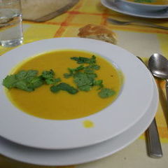 Samstag Mittag: Vorspeise Indische Möhrensuppe nit frischem Koriander