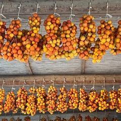 Impressionen der Masseria bei Tag - Wintertomaten und anderes Gemüse zum Trocknen.