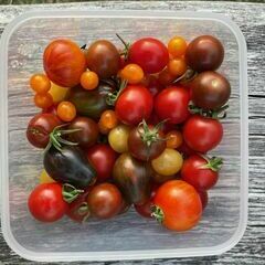 Aus dem eigenen Garten schmeckt's am besten &colon;-&rpar;