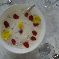 Quarkspeise an frischen Erdbeeren und Löwenzahnblüten