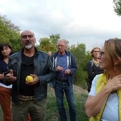 Referat über die aphrodisierende Wirkung der Quitte auf Immobilienspekulanten ;-)