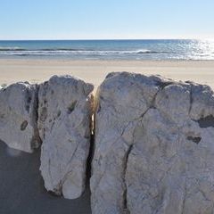 Dünen- und Strandlandschaft in Patara